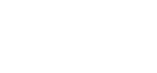 SOC 1 type 2 logo